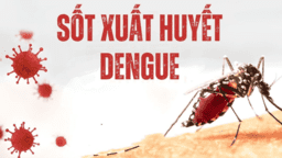 PHÒNG CHỐNG SỐT XUẤT HUYẾT – TRÁCH NHIỆM TỪ MỖI CÁ NHÂN, HÀNH ĐỘNG TỪ TOÀN XÃ HỘI