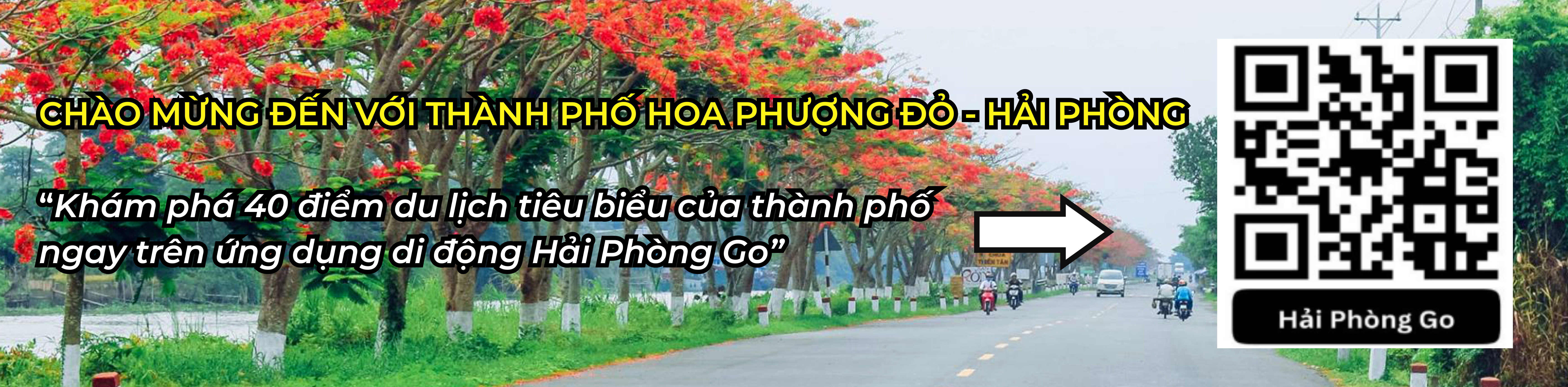 Banner_tai_app_Hai_Phong_Go_0880f85cbb
